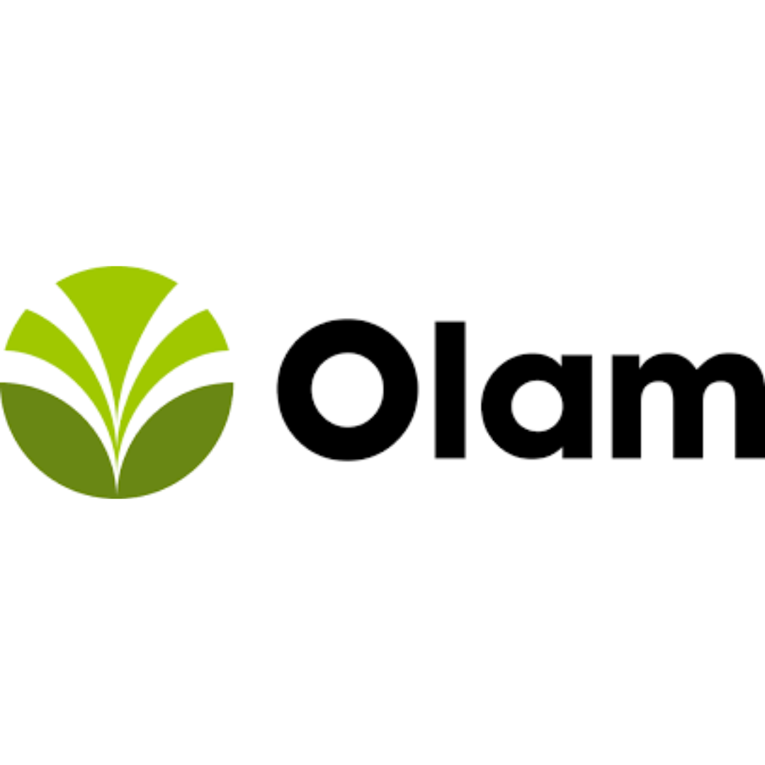 Olam